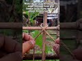 How To Tie The Perfect Bamboo Garden Knot