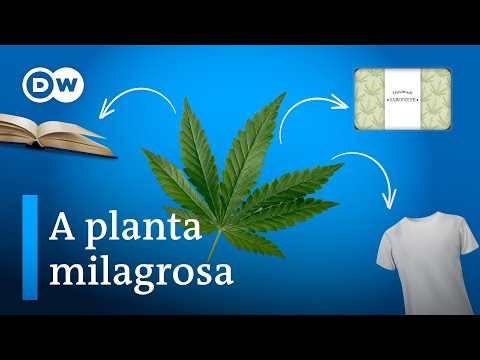 Vídeo: Por que um Dideoxirribonucleotídeo termina uma fita de DNA em crescimento?