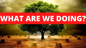 10 Shocking Statistics About Deforestation (2022)