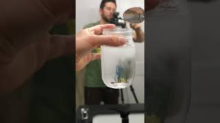 Cloudy Tap Water Explained Dissolved Air & Tiny Bubbles