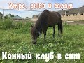 СНТ 🔴Перенесли границы участка 🔴Конный клуб🔴Танинтортлайф