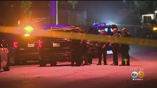 Police Arrest Man For Hit And Run That Killed Two Horses And Severely Wounded Their Riders
