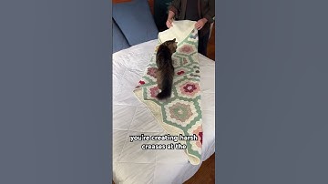 How To Fold A Quilt