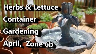 April:  Let's Talk About the Container Garden + Tips for Lettuce & Herbs