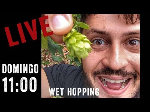 Brassando com Lúpulos Frescos - YouTube