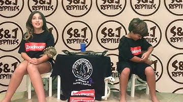 S&J Reptiles showing off their Boas