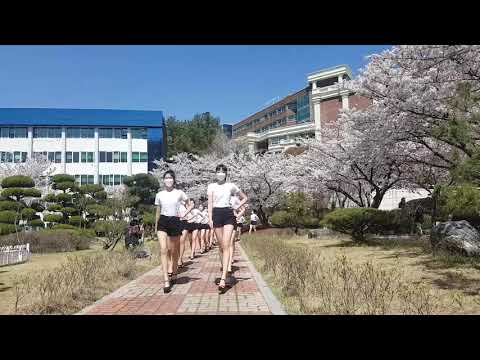 2021벚꽃워킹 모델지망생