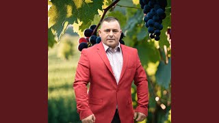 Pe soseaua Urziceni,mai soferilor