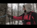 Tapping maple trees 2022 Vermont how to tap and a pro’s setup