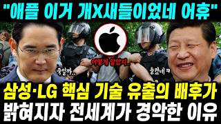 삼성·LG 핵심 기술 유출의 배후가 밝혀지자 전세계가 경악한 이유 &quot;애플 이거 완전 나쁜놈들이었네&quot;