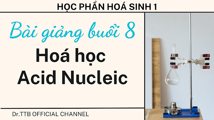 Axit nucleic được cấu tạo bởi loại đơn phân nào