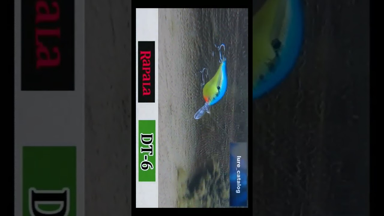ラパラ DT6  ルアー水中映像  バス釣り  