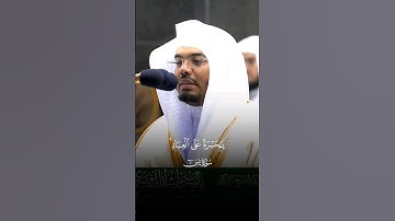 #ياسر_الدوسري #سورة_يس #قرآن #القرآن_الكريم #تلاوة_خاشعة #الله