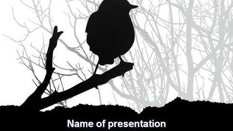 Bird on Branch PowerPoint Template by PoweredTemplate.com