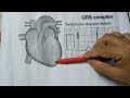 Qrs complex in detail i components of ecg i lesson 1