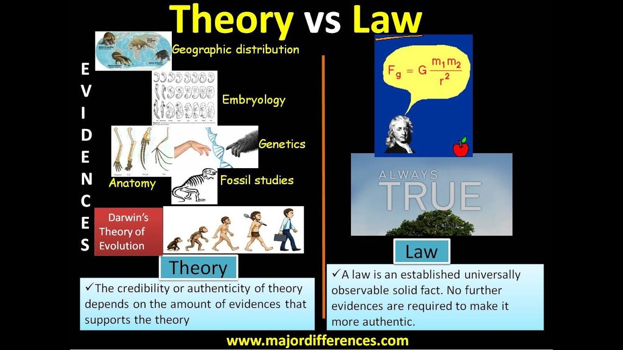 hypothesis theory and law differences