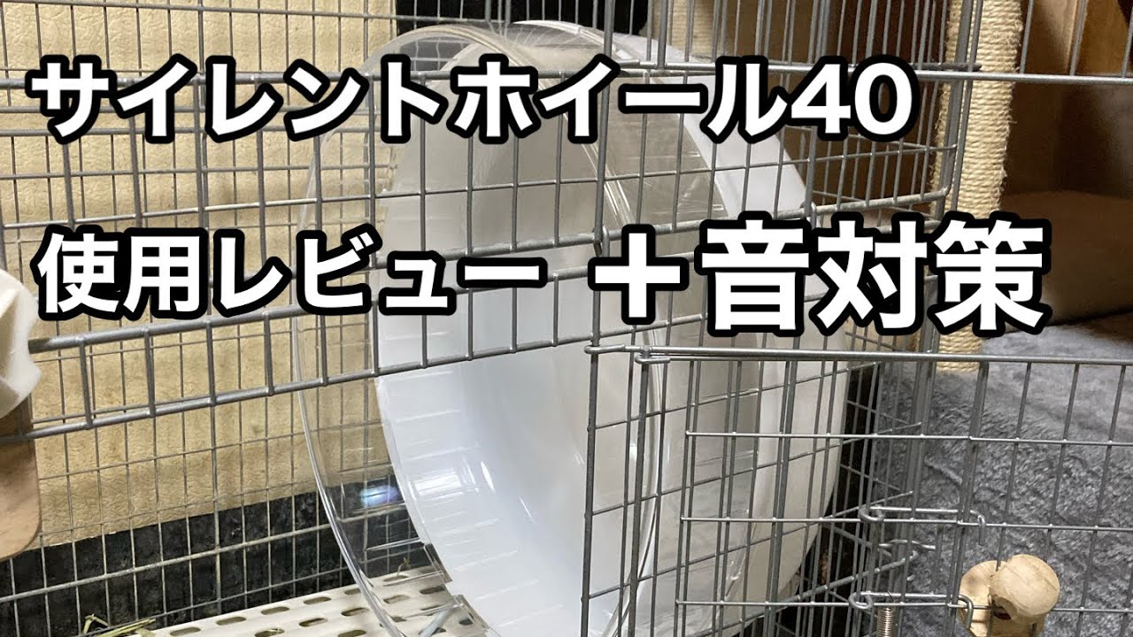 紫姫様専用 イージーホーム60ハイ サイレントホイール セット Amazon