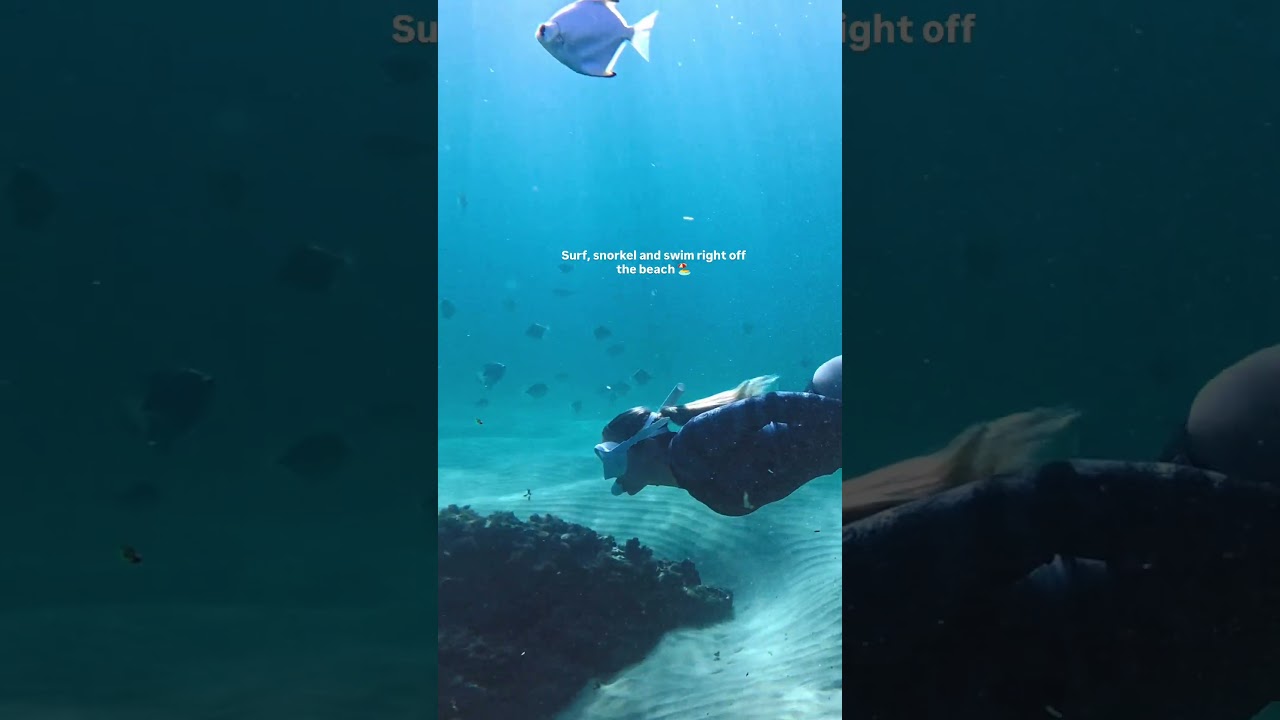 Swim, surf and snorkel on the Sunshine Coast