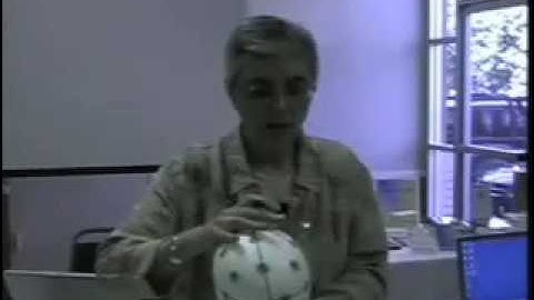 Neurofeedback Training Course