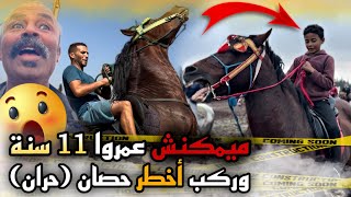 أكبر تحدي طفل فعمروا 11 سنة ركب أخطر حصان الحصان لي حاروا معاه بزاف ديال ناس . فنظركم يربح التحدي 🤔