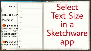 Allow user to select text size in app
