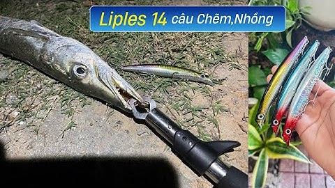 Mồi câu cá Nhồng,câu Cá Chẽm Siêu nhạy, câu cá nhiều địa hình, Mồi liples RF 14 chuyên câu cá nhồng