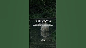 سورة طه Surah Taha Ayat : 82
