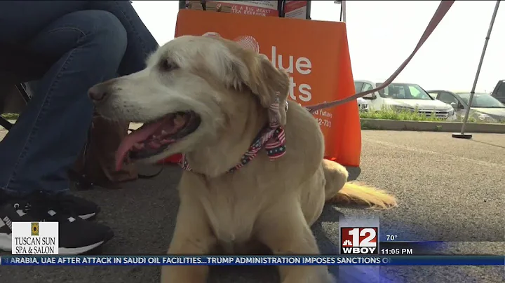 American Cancer Society hosts Bark For Life in Granville
