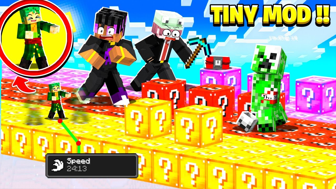 I Cheated Using TINY Mod in LUCKY BLOCK Race 🤯