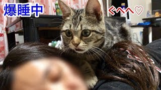 妹が爆睡してるのをいいことにしつこく匂いチェックをしに来た猫ｗ