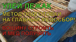 КАК РАБОТАТЬ С ЛЕЖАКОМ на главный медосбор ДВА МЕТОДА И ВОЩИНУ ОТСТРОИТЬ И МЁД ПОЛУЧИТЬ ✅☝️🐝