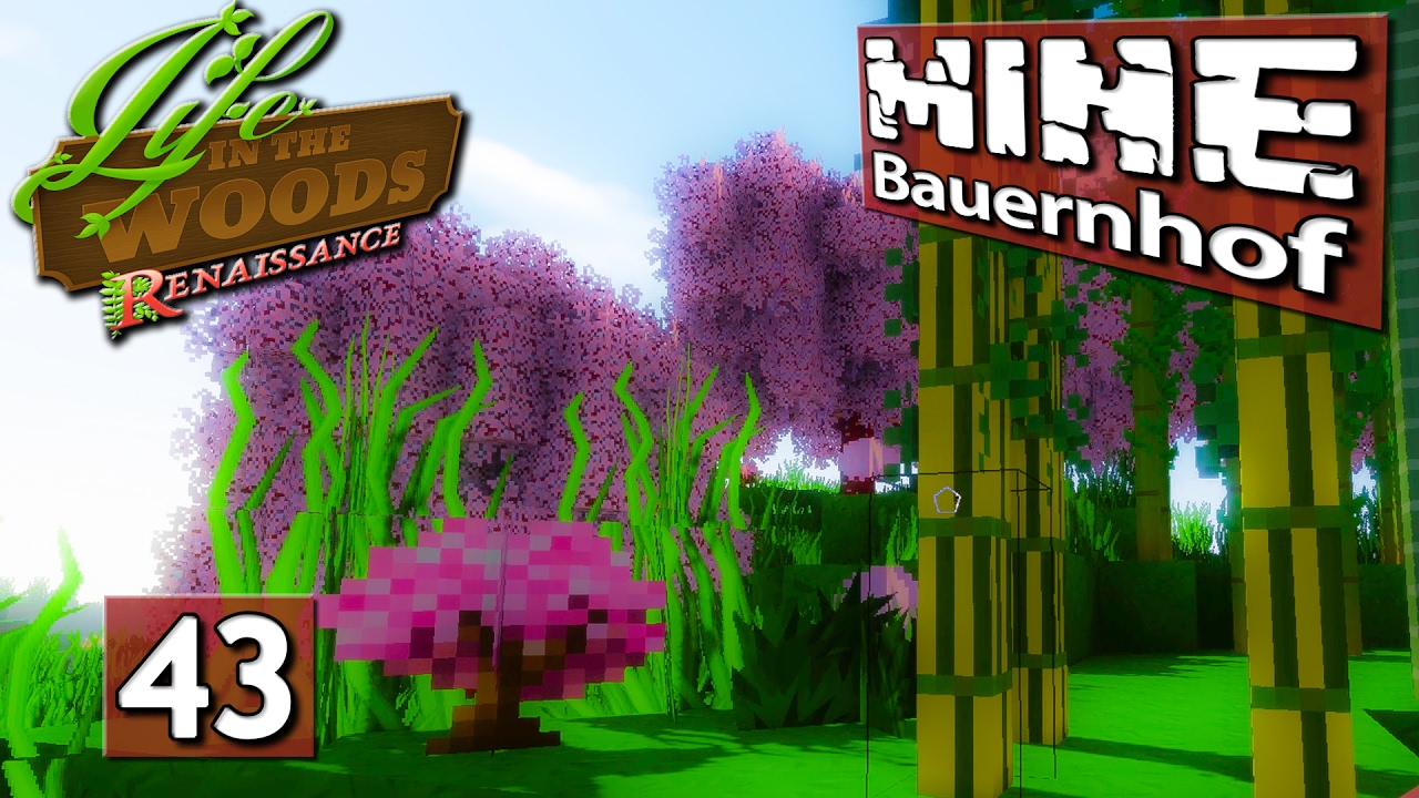 Hausumbau ► MINE Bauernhof MINECRAFT LiTW deutsch #43 games people play