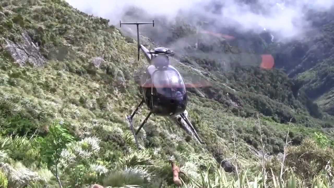 The Bounty of New Zealand - (Short Version)