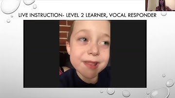 Supporting Students with Disabilities in Virtual Environments