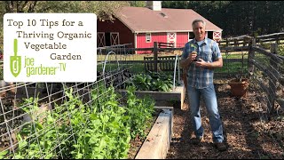 Top 10 Tips For a Thriving Organic Vegetable Garden