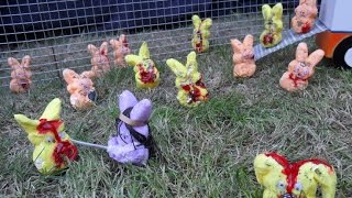 War on Peeps!