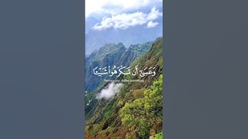 وَعَسَىٰ أَن تَكْرَهُوا شَيْئًا وَهُوَ خَيْرٌ لَّكُمْ ۖ _ سورة البقرة _القارئ مشاري العفاسي