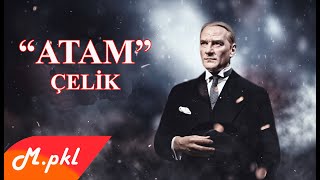 Atam-Çelik Resimi