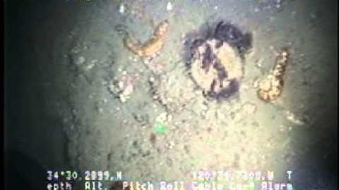 C0212SC_Tape53v.noaudio.mpg