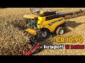 Xl corn harvest in bretagne i new holland cr 1090  geringhoff 12 rows