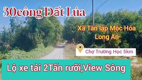 30công Đất Lúa đê bao 3vụ Tại Mộc Hóa Long An #bdslongan #cuonglebatdongsan62