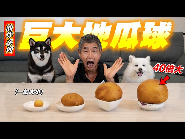 挑戰做出全台最大地瓜球，40倍巨大地瓜球『油炸系列』The largest 40 times sweet potato balls in Taiwan