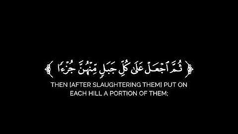 كروما شاشة سوداء قرآن كريم 🌿تلاوة من سورة البقرة 🌿القارئ يوسف شاكر 🌿