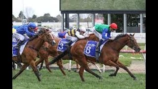 2017 MRC Underwood Stakes