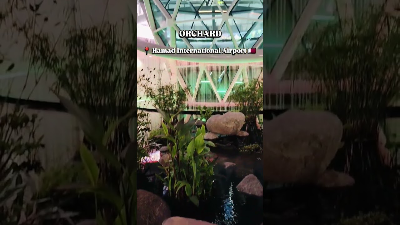 Indoor Garden at Hamad International Airport.😍🇶🇦  #shorts #ytshorts #qatar #trending #viralvideo