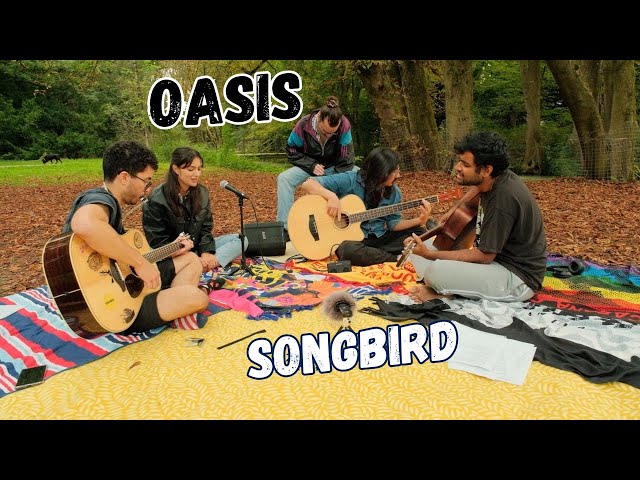Oasis - Songbird Acoustic cover - YouTube