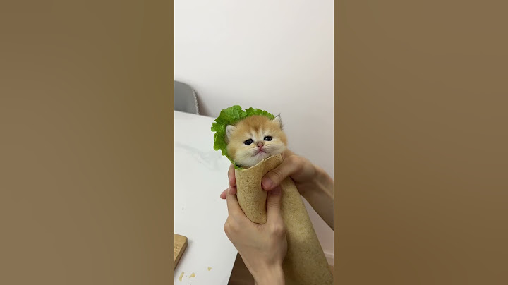 【牛奶是只猫】猫猫卷饼真好吃，食材没有浪费哦~