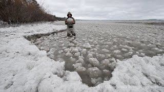 Lake Michigan Ice Balls ... by KenScottPhotography 72,870 views 8 years ago 3 minutes, 1 second