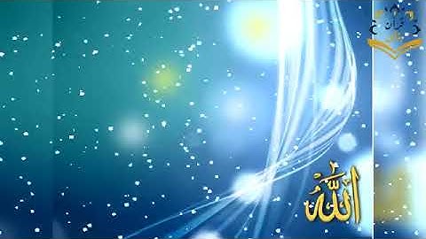 القارئ محمد صالح اليمني