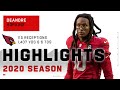 DeAndre Hopkins Full Season Highlights | NFL 2020